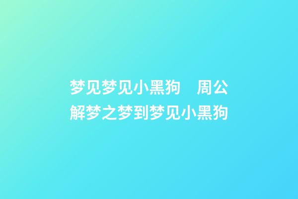 梦见梦见小黑狗　周公解梦之梦到梦见小黑狗